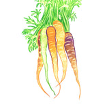 Trick or Treat Watercolour Set